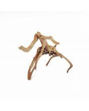 Spider Wood / Cuckoo Root (12-23 Inches)