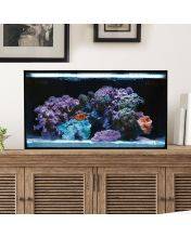 20 NUVO Fusion PRO 2 AIO Aquarium Bundle