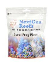 NextGen 1" Ceramic Frag Plugs - White (25 Pack) - Ocean Wonders