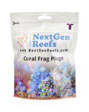 NextGen 1" Ceramic Frag Plugs - Coralline Purple (25 Pack) - Ocean Wonders