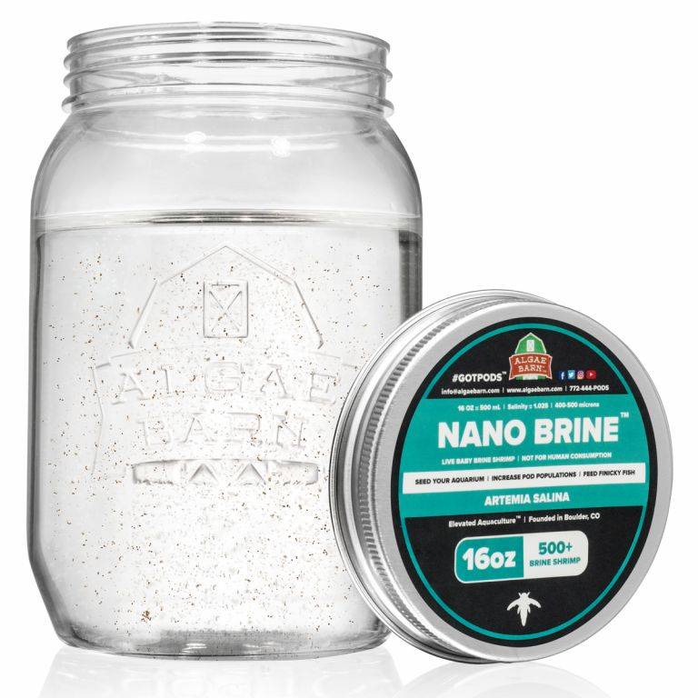 8oz Nano Brine Shrimp