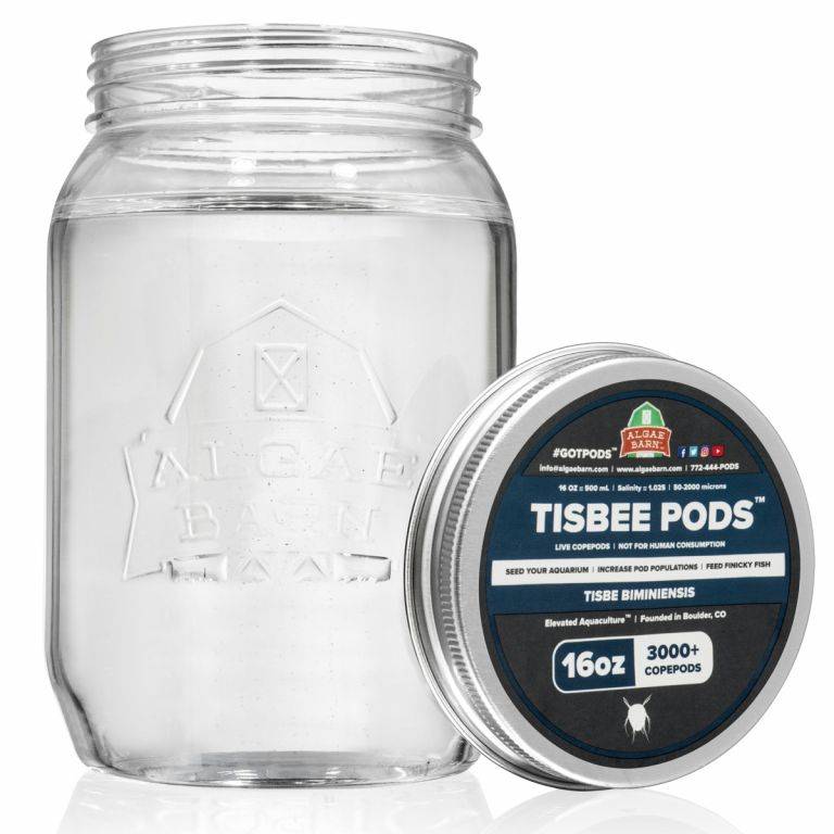 16oz Tisbee Pods