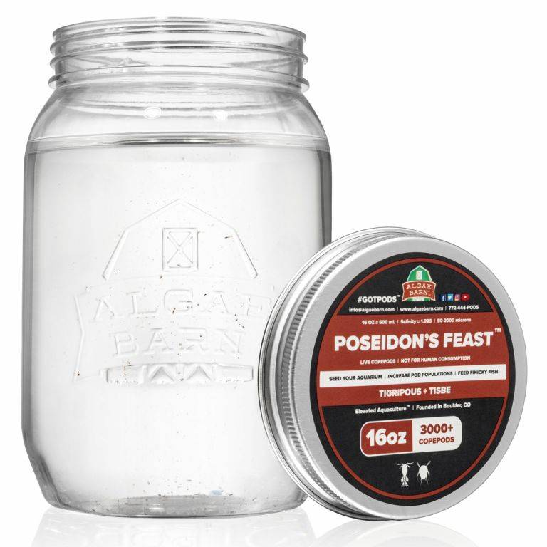 64oz Poseidon's Feast - 2 Species Copepod Blend