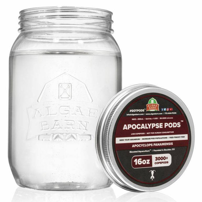 16oz Apocalypse Pods