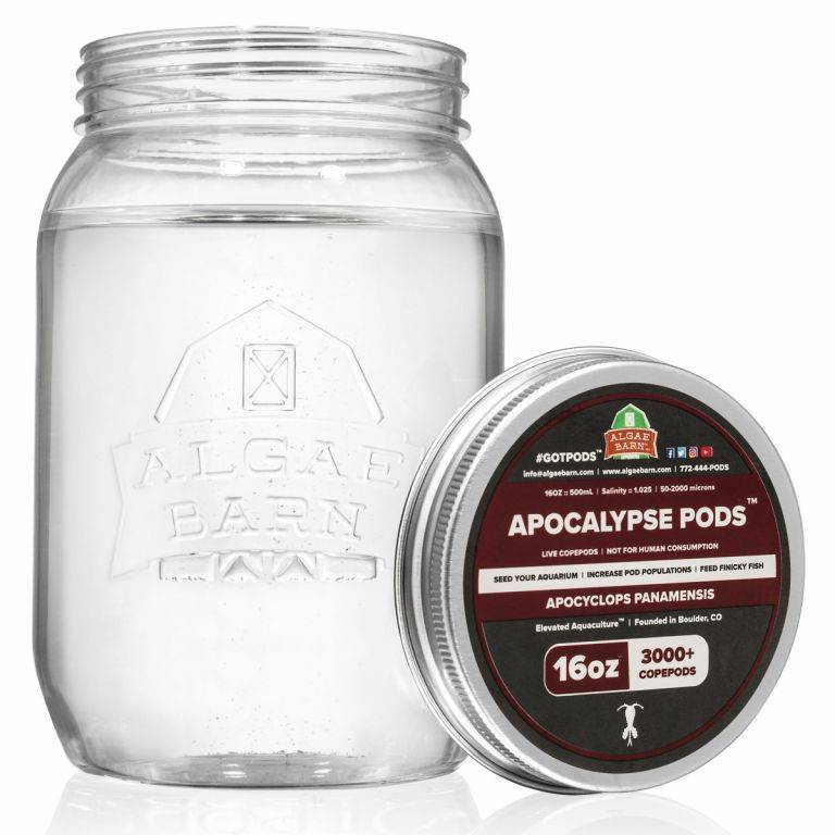 32oz Apocalypse Pods