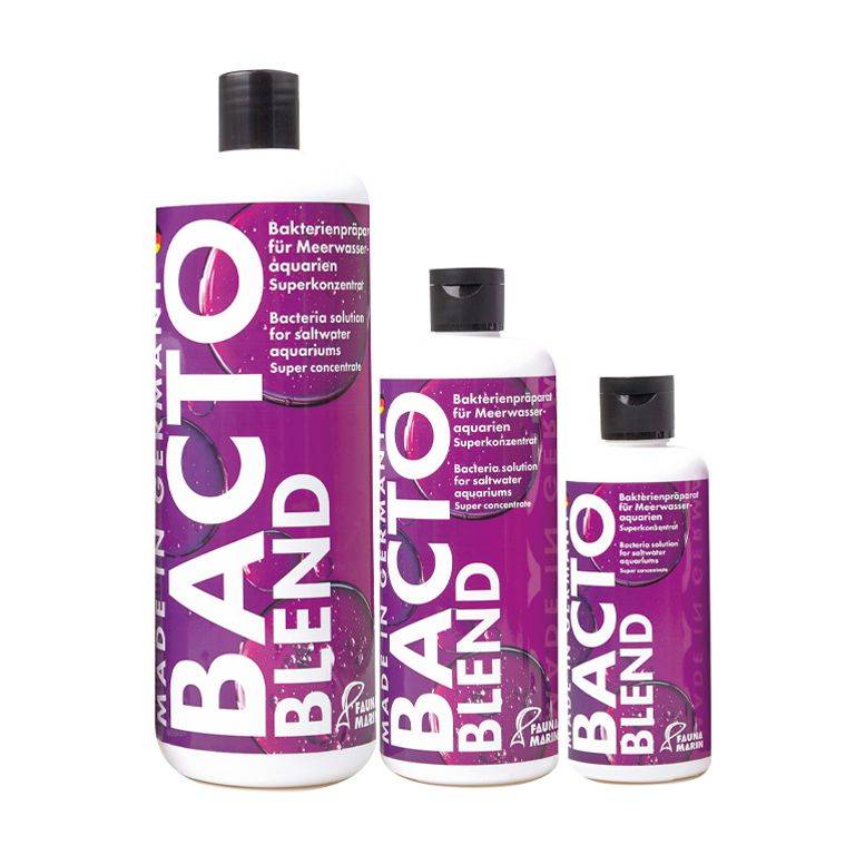 500 mL Bacto Blend