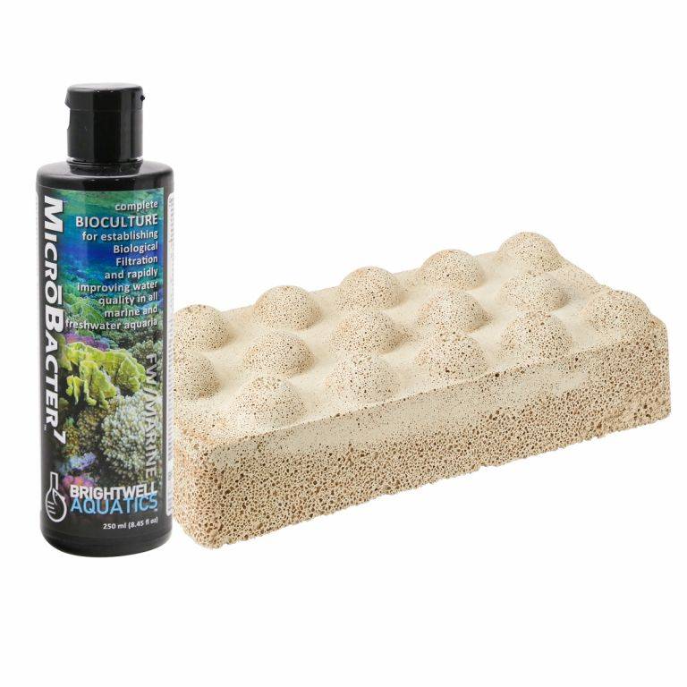 Xport-NO3 Dimpled Brick with 250mL Microbacter7