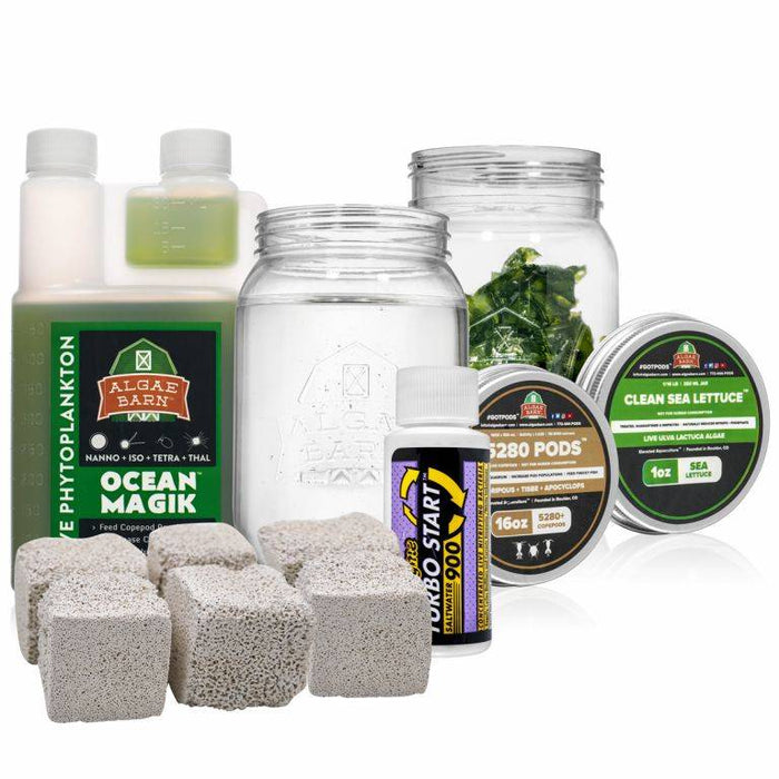 Small Sea Lettuce Ultimate Refugium Starter Pack