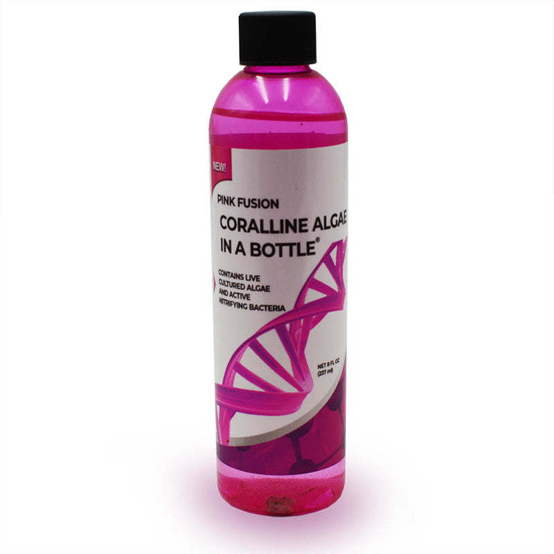 Pink Fusion Coralline Algae In A Bottle (8oz)