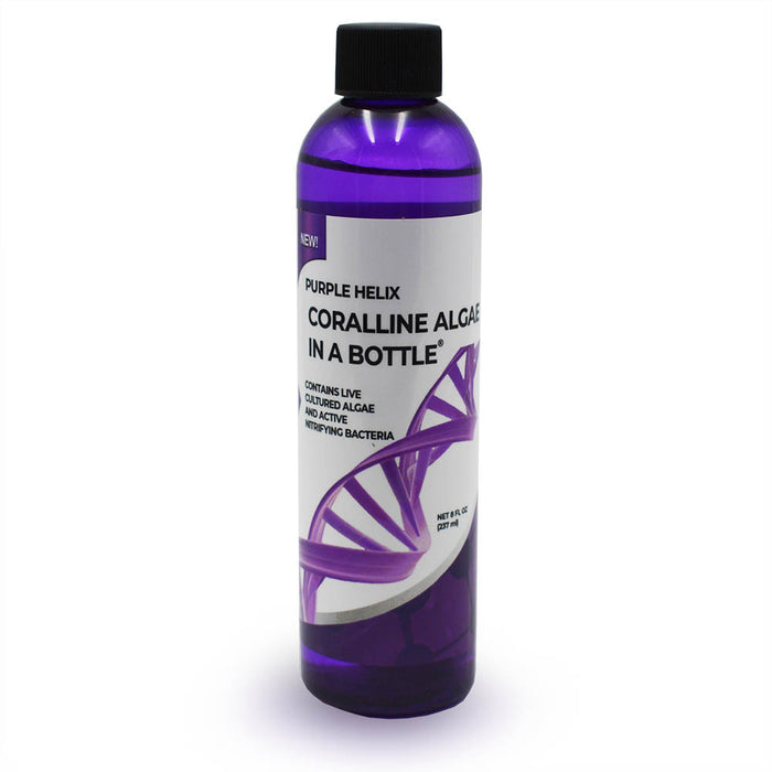 Purple Helix Coralline Algae In A Bottle (8oz)