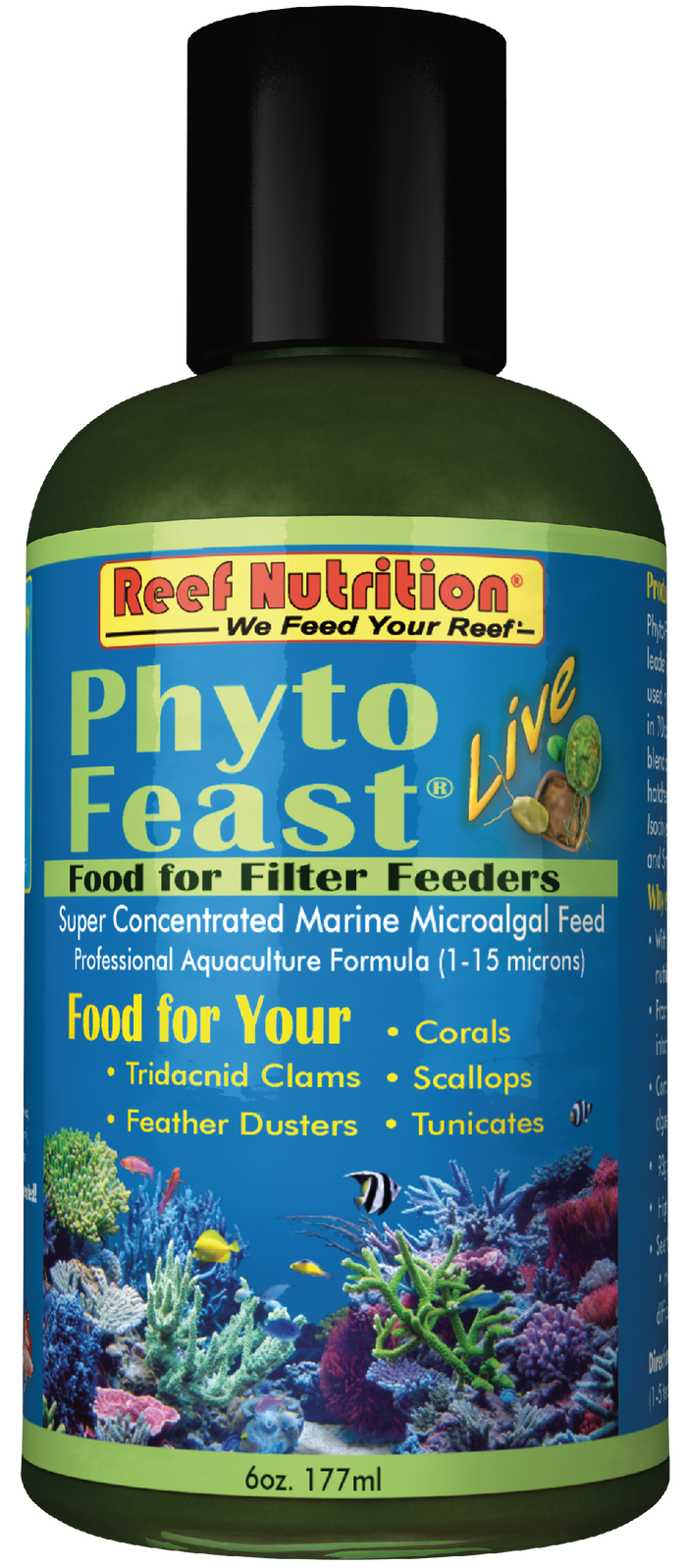 Phyto Feast Live