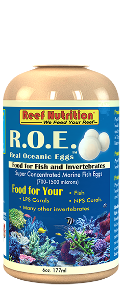 Real Oceanic Eggs