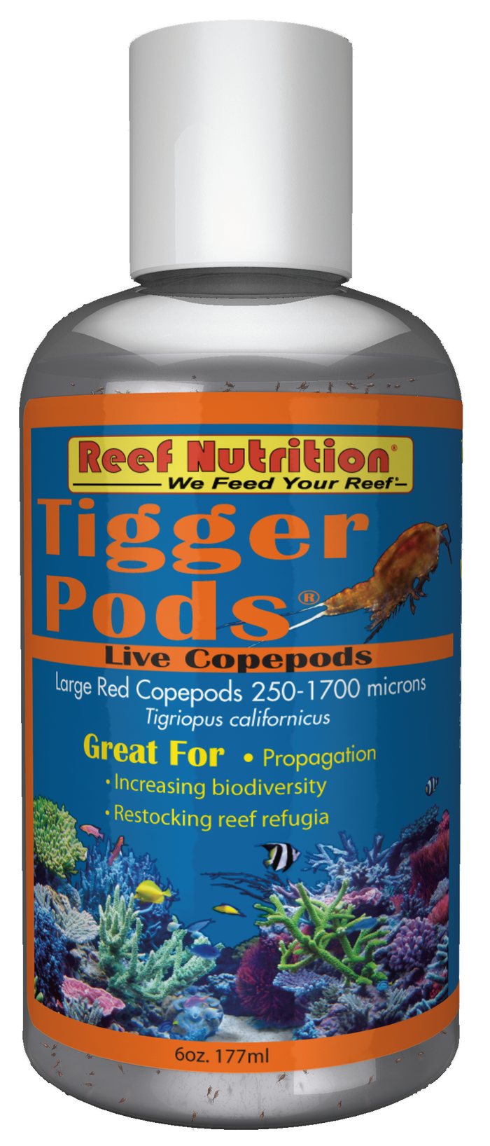 Tigger Pods 6 Oz