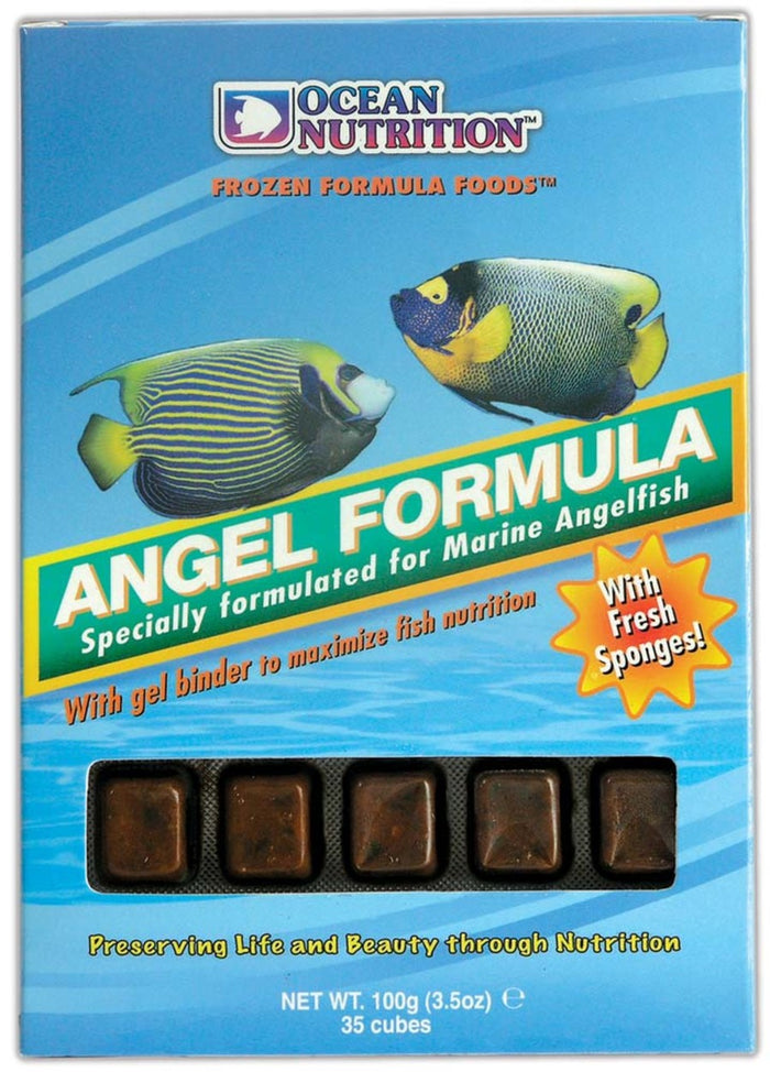 Ocean Nutrition Angel Formula Frozen Fish Food