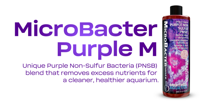 Brightwell Aquatics MicroBacter Purple M