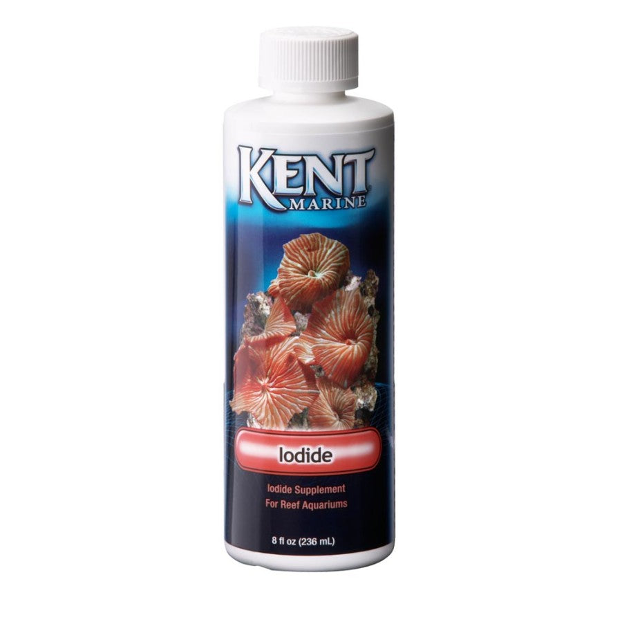 Kent Marine Concentrated Iodide Supplement Bottle