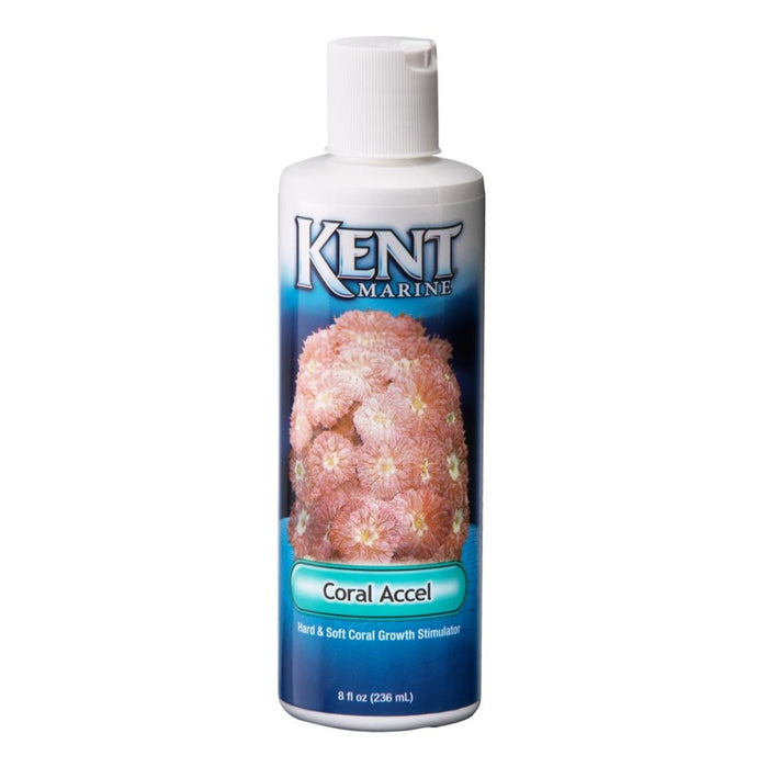 Kent Marine Accel Hard and Soft Growth Stimulator Bottle