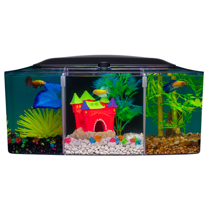 GloFish Betta Trilogy Aquarium