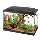 Aqueon Aquarium Starter Kit with LED Lighting